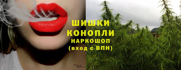 мдпв Волосово