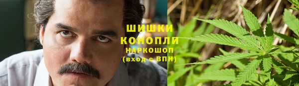 сатива Волоколамск