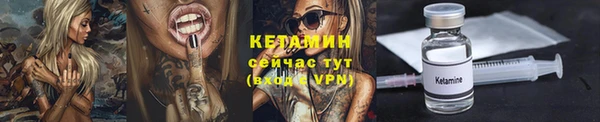 сатива Волоколамск