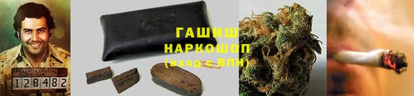 сатива Волоколамск