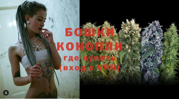 сатива Волоколамск