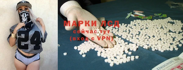 сатива Волоколамск