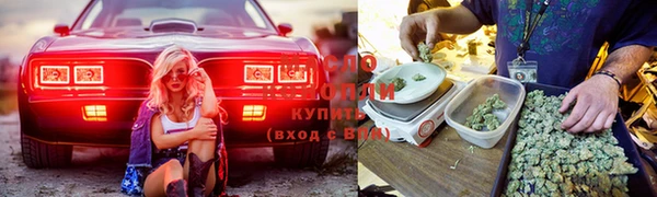 мдпв Волосово