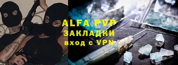 сатива Волоколамск