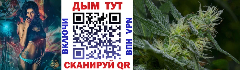 МАРИХУАНА план Брюховецкая